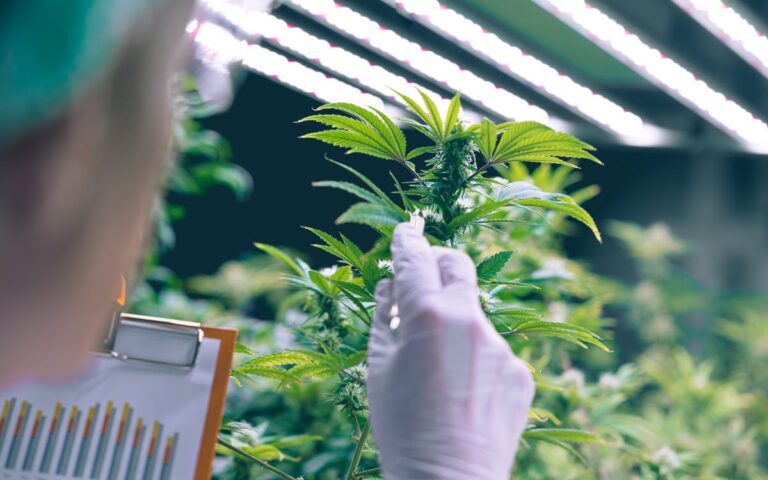 umfassender Leitfaden